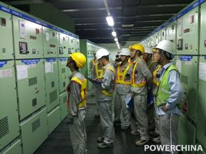 卡西姆港燃煤電站2號(hào)機(jī)組廠用電倒送電一次成功